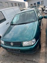 Volkswagen Polo 1.4 44kW Basis 2 HAND  - Volkswagen Polo aus 1995