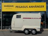 Andere Camp- Let A2 Pferdeanhänger Vollpoly 2t. - Pferdeanhänger Vollpoly