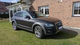 Audi Q5 3.0 V6 TDI  Quattro AHK  Offroad  Xenon plus - Audi Q5 mit Diesel-Antrieb: Geländewagen, 3.0