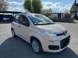 Fiat Panda 1.2 Basis - 54.800 km - TÜV bis 02/27 - Fiat Panda Gebrauchtwagen in Hannover