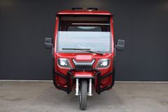 ANDERE RDB MAX-Klass 4 Führerscheinfrei mit Vollkabine