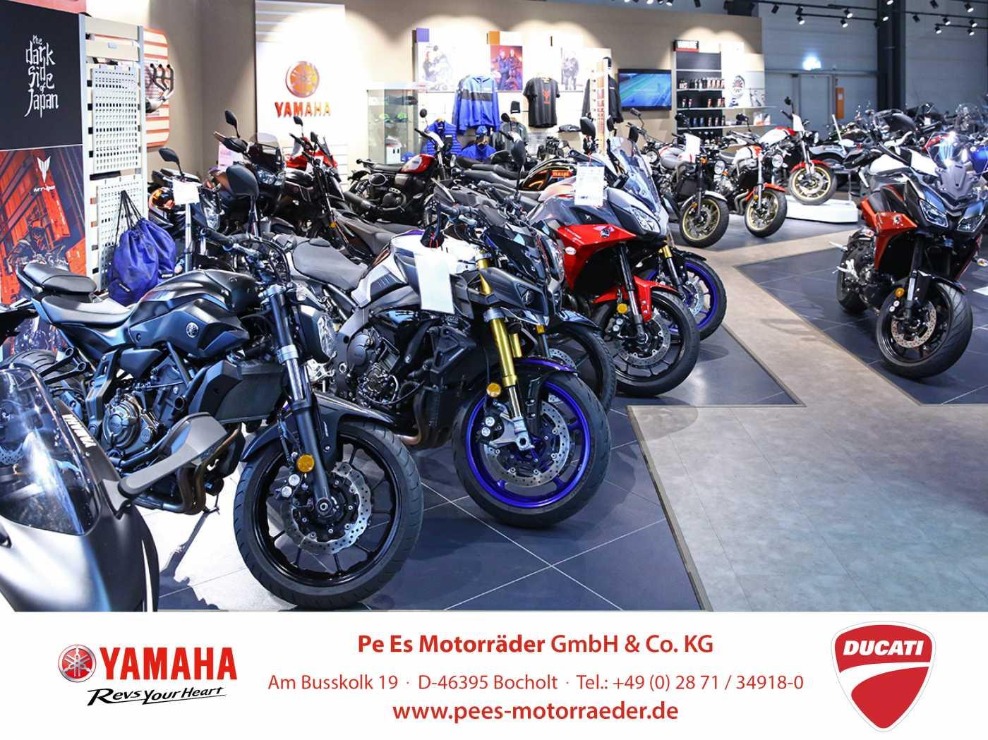 BMW R 1200 R *ESA*Service neu*