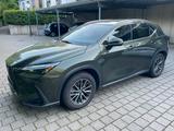Lexus NX 350h 350h Business Line Business Line - gebrauchte Lexus NX 350h aus dem Jahr 2024