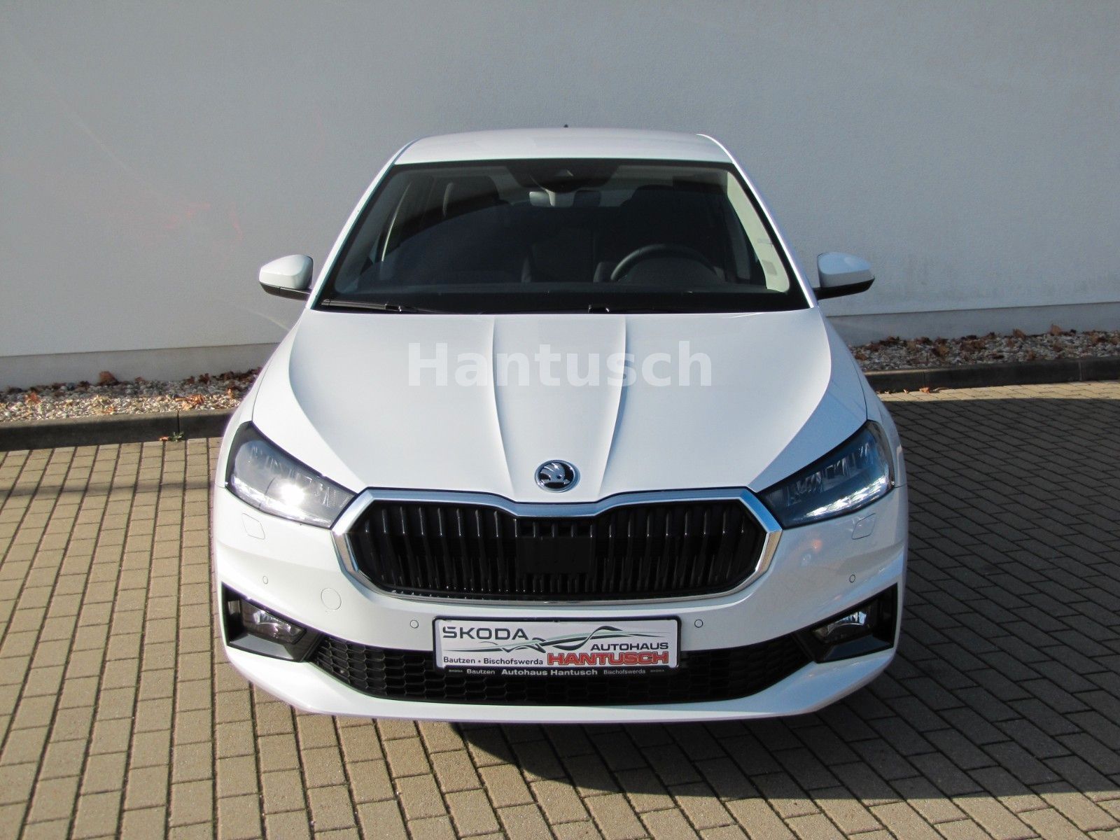 Fahrzeugabbildung SKODA Fabia Selection 1.0l TSI 95PS