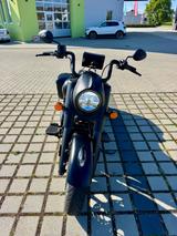 Indian Springfield Dark Horse Black Smoke - Angebote