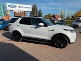 Land Rover Discovery 5 SE D250 AWD*LED*Schiebedach*Luftfed. - Land Rover Discovery in Dresden