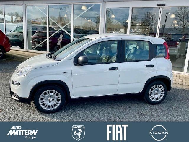 Fiat Panda 1.0 Mild Hybrid Klima/PDC/DAB/Bluetooth