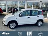 Fiat Panda 1.0 Mild Hybrid Klima/PDC/DAB/Bluetooth - Fiat Panda Tageszulassungen