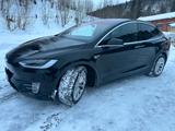 Tesla Model X P100D Free Supercharge(SC01) - Tesla Model X aus 2017