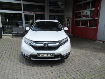 Bild 3 Honda CR-V 1.5 T 4WD Executive Navi Pano AHK BT