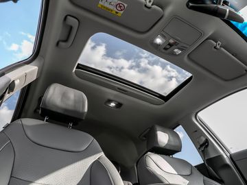 Hyundai Ioniq Premium Hybrid Stauassistent Leder Kamera