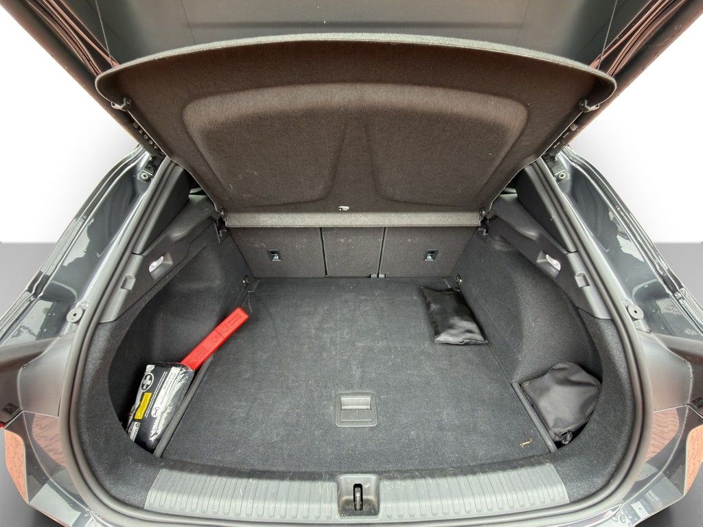 Cupra Terramar - Bild 11