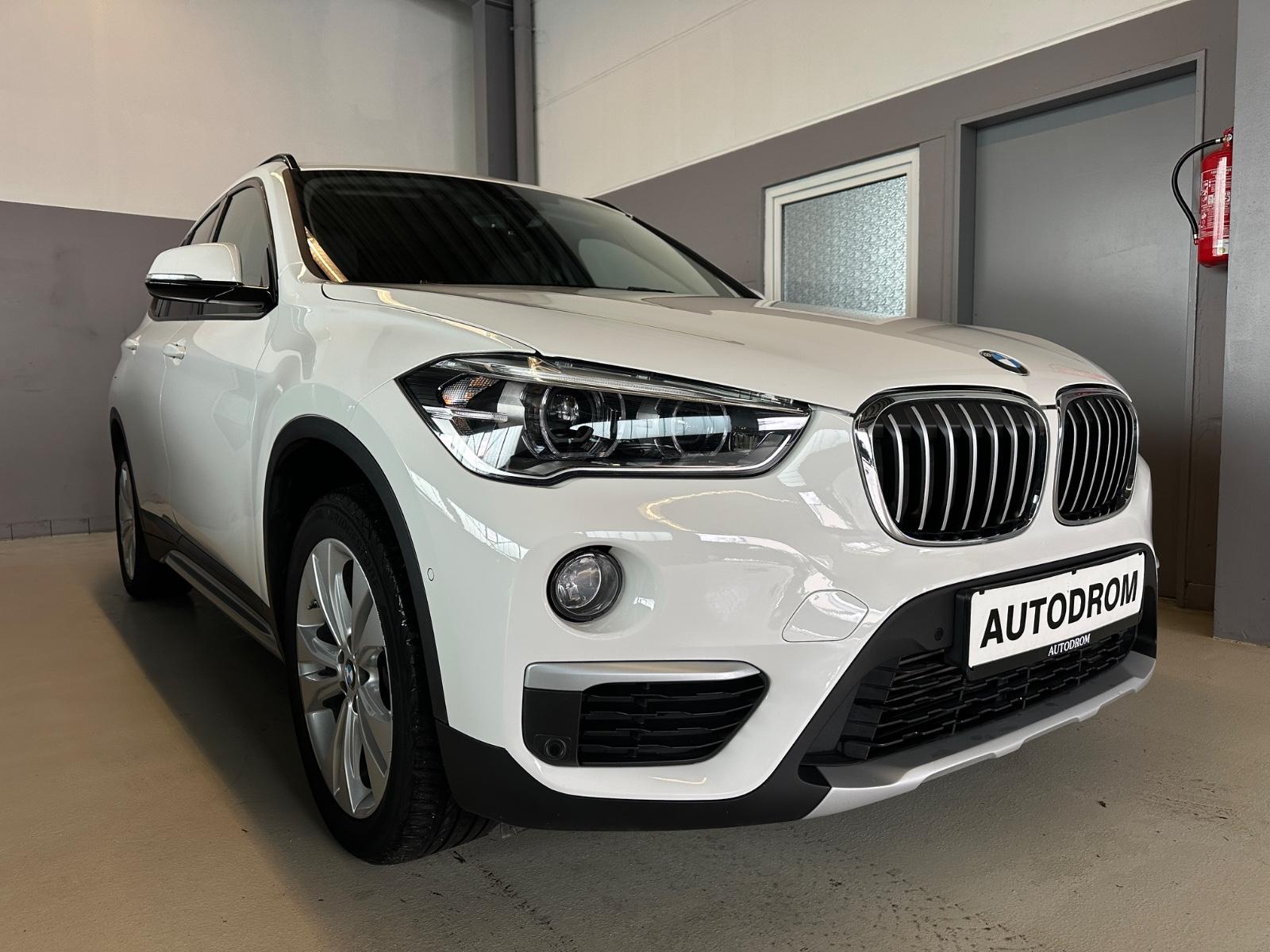 BMW X1 18d xDrive xLine/HeadUp/AHK/Abstandstemp./LHZ