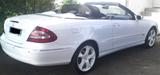 Mercedes-Benz CLK 240 AVANTGARDE Avantgarde - gebrauchte Mercedes-Benz CLK 240 aus dem Jahr 2003