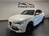 Alfa Romeo ALFA ROMEO STELVIO 2.9 BI-TURBO 510CV QUADRIFOGL - Alfa Romeo: 2.5
