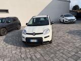 Fiat Panda 1.0 FireFly S&S Hybrid Sport - Fiat Panda Sport mit Hybrid-Antrieb (Benzin/Elektro)
