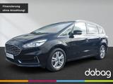 Ford S-Max 2.0 EcoBlue Aut. TITANIUM - Ford S-Max Kombi Gebrauchtwagen