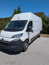 Opel Movano  --- Motorschaden --- - Opel: Motorschaden