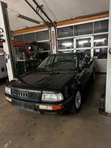 Audi 80 B4 Quattro 2.8 V6 Notverkauf - Audi 80 mit Benzin-Antrieb: Limousine, 2.6