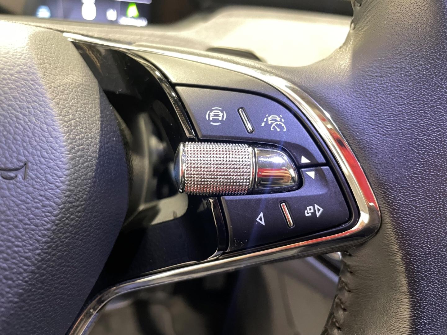 Skoda Enyaq 80 Loft Teilleder Navi LED ACC Rückfahrkam