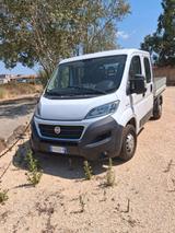 Fiat Ducato 35 2.3 MJT 115CV PL Cabinato Maxi 7p - Fiat Ducato: 11