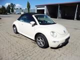 Volkswagen New Beetle Cabriolet 1.6 - Volkswagen New Beetle: Beige