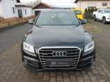 Audi Q5 2.0 TDI 190PS quattro S-Line AHK - : 19