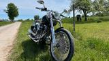 Harley-Davidson Softail FXST 1449ccm Top Zustand - HARLEY-DAVIDSON 2000 SOFTAIL