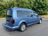 Volkswagen Caddy MaxiACC, AHK, Klima, Navi, Alcantara - Volkswagen Caddy Maxi aus 2017