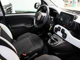 Fiat Panda Pandina Cross 1.0 GSE 51 kW (69 PS) - Fiat Panda aus 2025