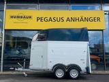 Humbaur Single Alu 1,5er Pferdeanhänger SK 1.Hd - Pferdeanhänger für 1,5 Pferde