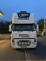 Volvo FM/FH 5 Pferde, Dop.pop-out&pop-up