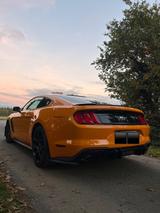 Ford Mustang 2.3 EcoBoost,Fastback,MagnaRide,Sport - Ford Mustang: Fast