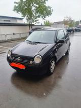 Volkswagen Lupo 1.0 Benzin  Bastlerfahrze... - VW Lupo Gebrauchtwagen in Hannover