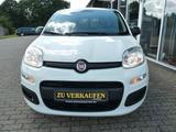 Fiat Panda Easy*Klima*Radio-DAB+*Bluetooth*GJ-Räder* - gebrauchte Fiat Panda aus dem Jahr 2019