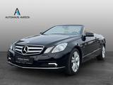 Mercedes-Benz E 250 CDI BE/ RENTNER / Org. 41.000KM/ GARANTIE/ - Mercedes-Benz E-Klasse: Cabrio