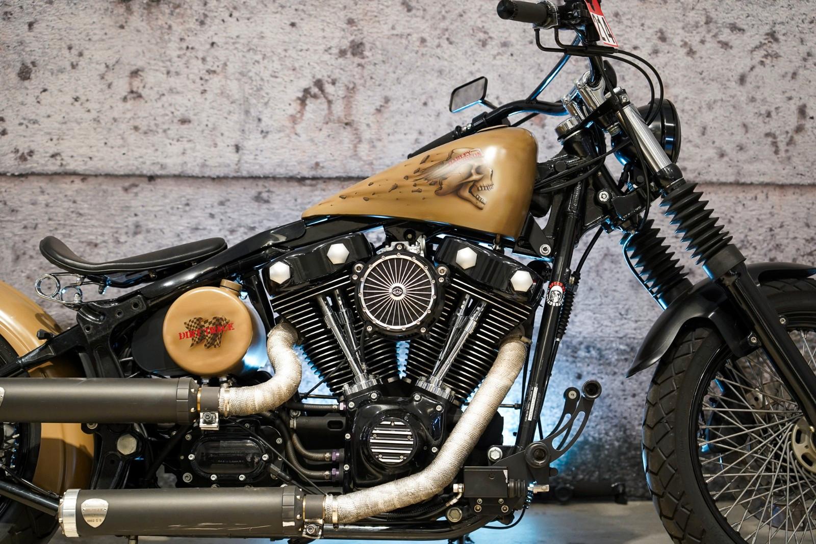 Harley-Davidson FLSTFB Softail Fat Boy Bobber Custom