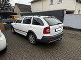 Skoda Octavia 2.0 TDI 4x4 Scout Combi Scout - Skoda Octavia aus 2011: Kombi