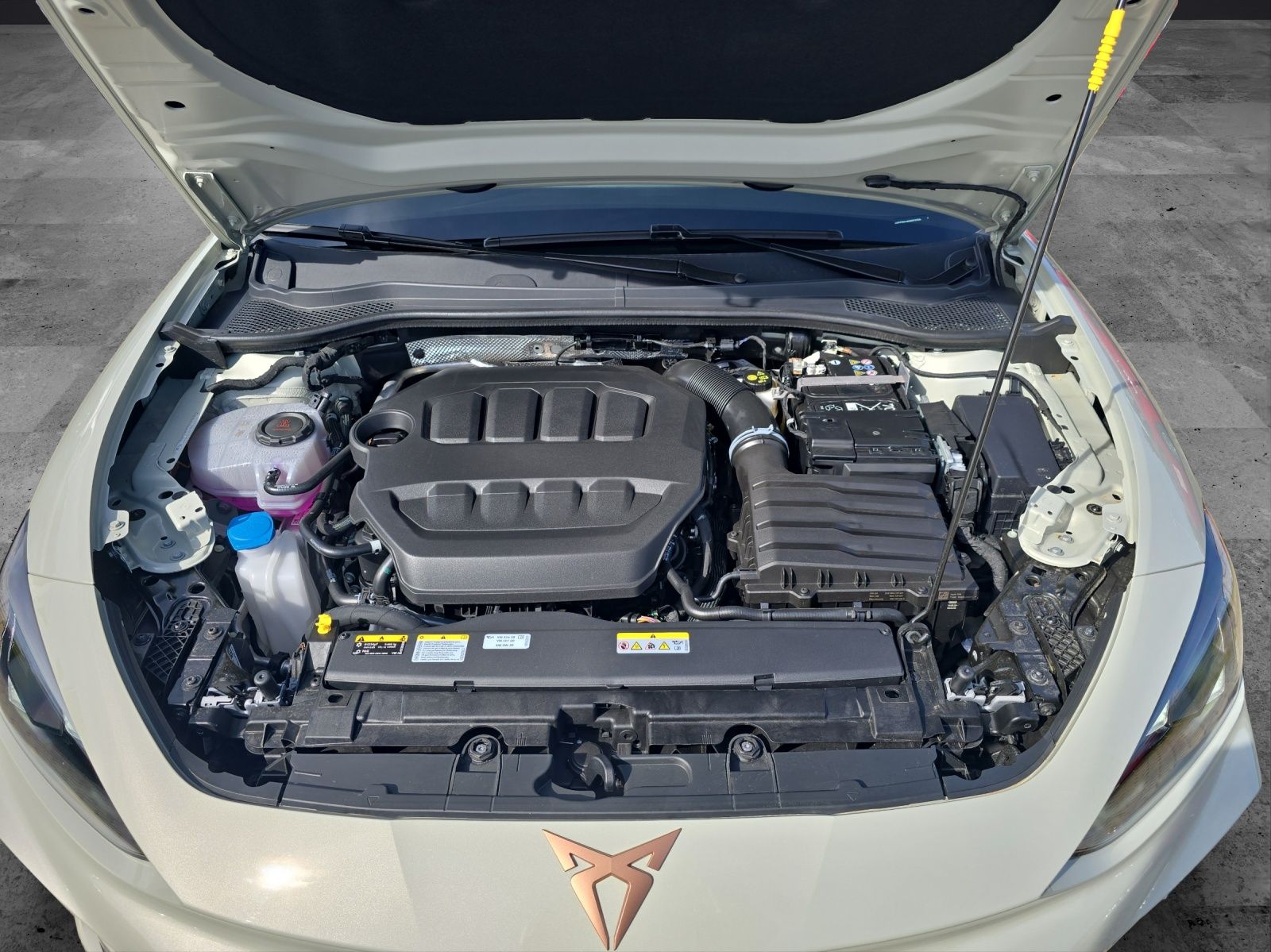 Fahrzeugabbildung CUPRA Leon Sportstourer 2.0 TSI  4Drive VZ DSG AHZ KAM