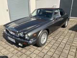 Jaguar XJ12 Double Six Daimler *Sammlerzustand