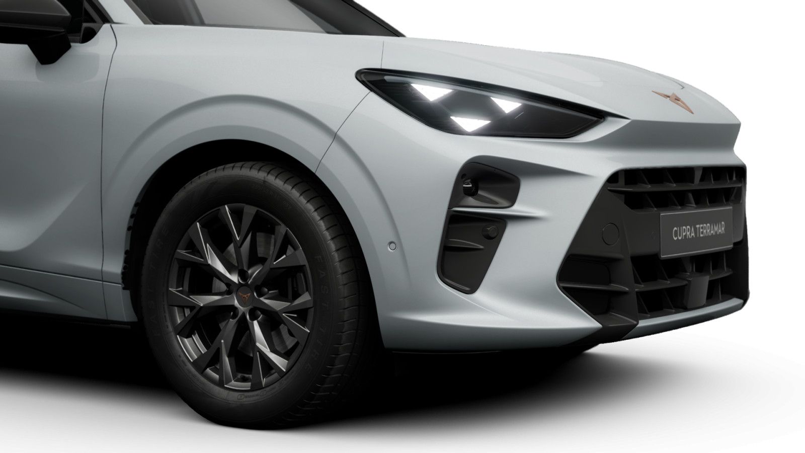 Cupra Terramar - Bild 4