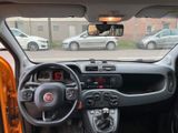 Fiat Panda EasyAHK TÜV NEU 1.Hand - Fiat Panda aus 2017