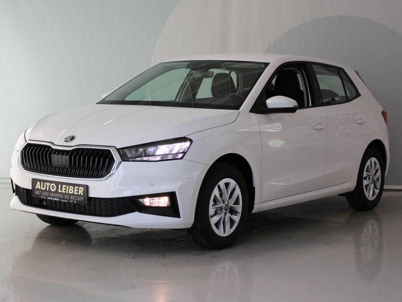 Skoda Fabia 1.0 TSI Selection RFK/APP/SHZ/LANE