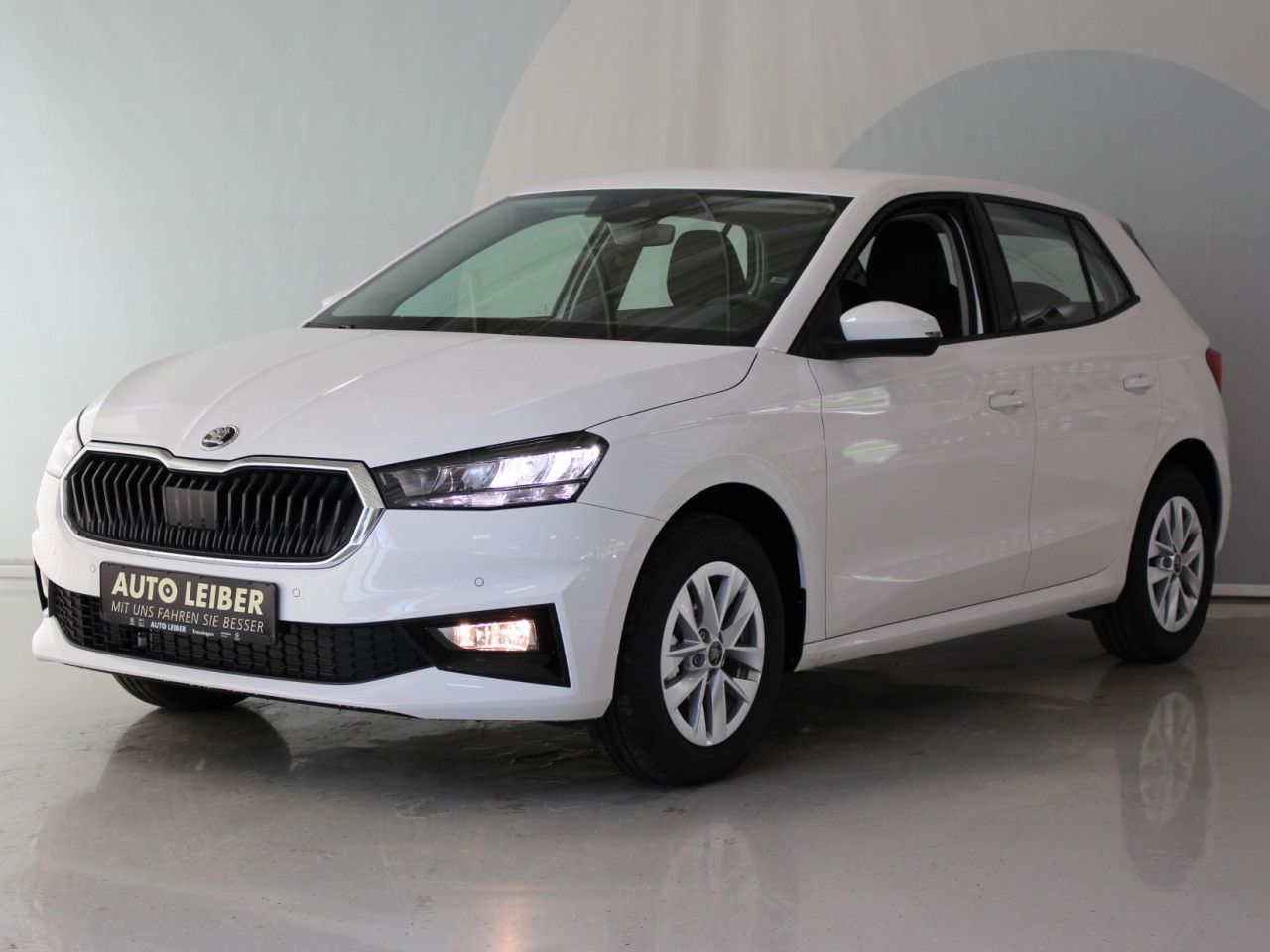 Fahrzeugabbildung SKODA Fabia 1.0 TSI Selection RFK/APP/SHZ/LANE
