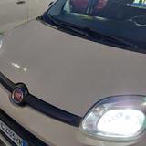 Fiat Panda 1.3 MJT 95 CV S&S Easy - Fiat Panda EASY mit Diesel-Antrieb