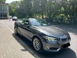 BMW 220d Cabrio Luxury Line - BMW 220 Gebrauchtwagen in Berlin
