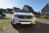 Kia Sorento 2.2 CRDi AWD Spirit Automatik Spirit - Kia Sorento in Bremen