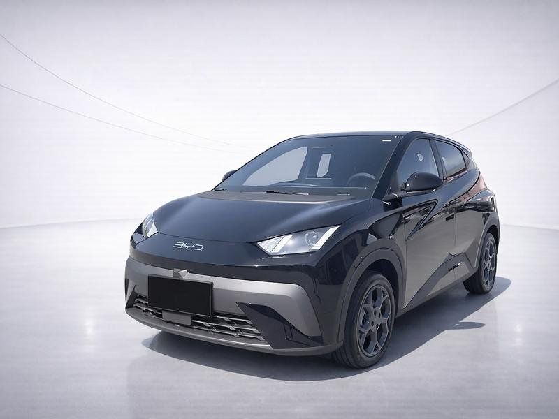 BYD DOLPHIN SURF