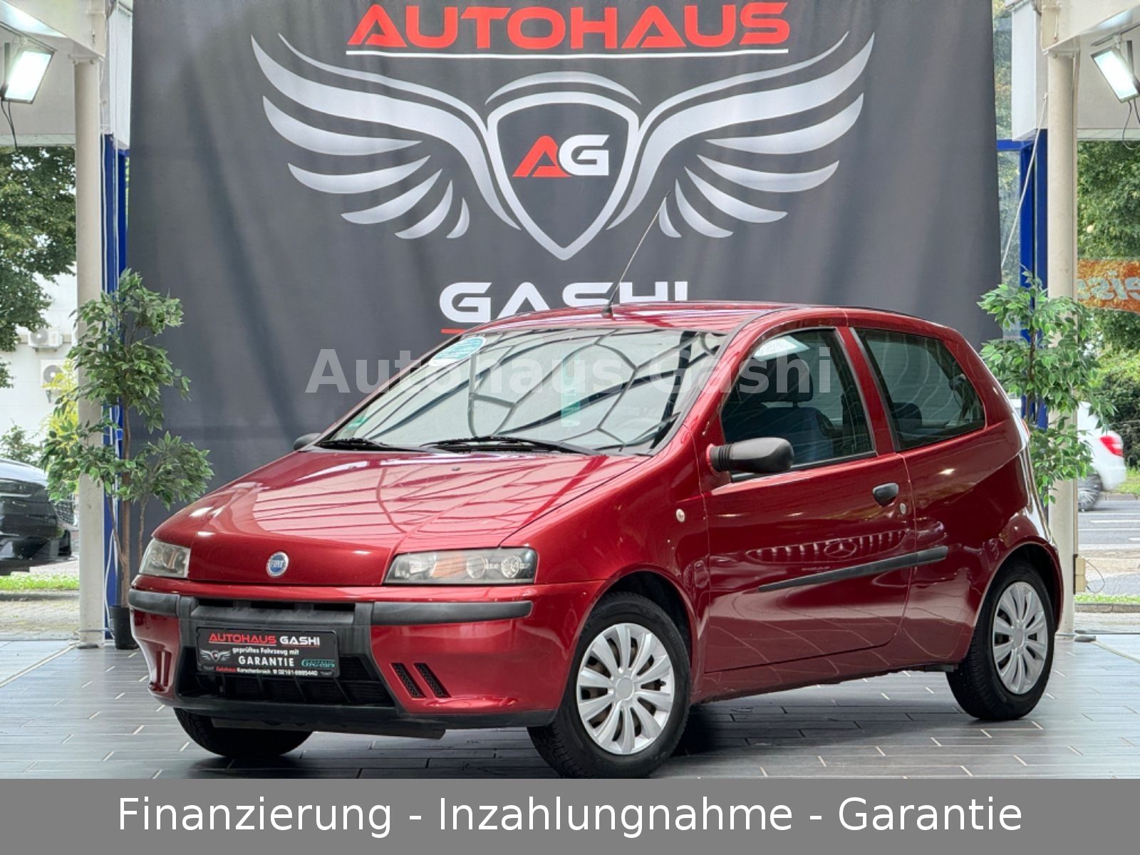 Fahrzeugabbildung Fiat Punto 1.2Active*2.HD*Klima*Zahnriemen+Reifen Neu