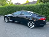 Jaguar XF 3.0 L V6 Diesel - - Jaguar XF in Dortmund